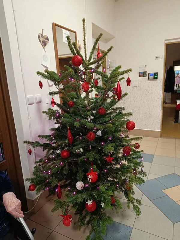 Zdobení stromečku – fotografie 4